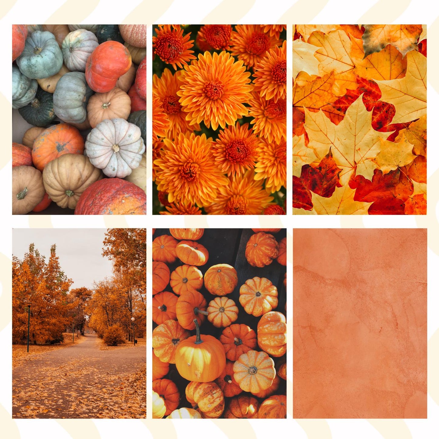 Fall Pumpkin Sticky Back Paper Pack