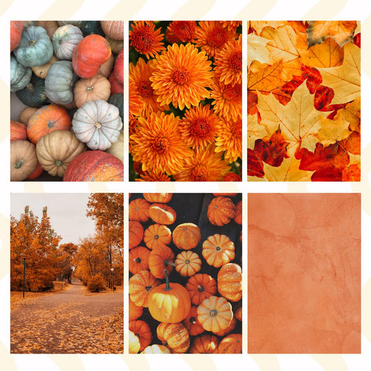 Fall Pumpkin Sticky Back Paper Pack